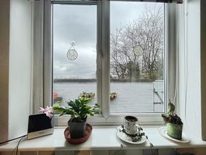 Photo 14- click for photo gallery